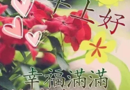 祝福问候语短信大全,精选祝福问候语汇编