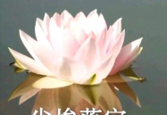 适合女人的头像好运,打造女人好运微信头像秘籍”