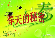 描写春天的好句子摘抄,春天的美好描绘
