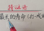 最长的句子打一成语,句句珠玑