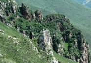 四面都是山山山都相连打一个字,四面山风景区的壮丽画卷”