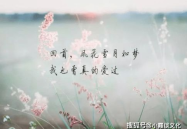 扎心语录情感语录,扎心语录情感共鸣篇