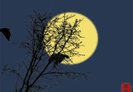 月出惊山鸟打一字,夜静春山幽